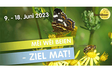Natur&ëmwelt: recensement des insectes du 9 au 18 juin 2023