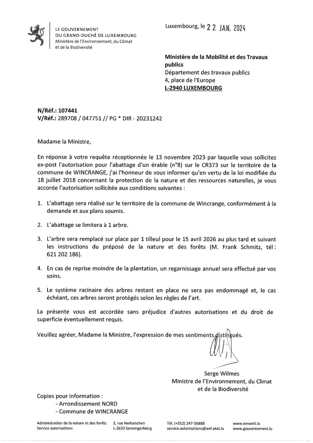 Demande ex-post pour l’abattage d’un érable (n°8) sur le CR373 entre Asselborn et Sassel
