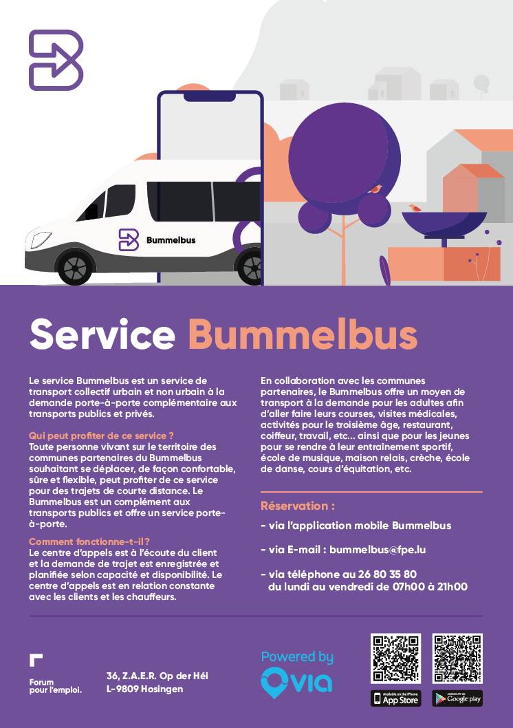 Service Bummelbus