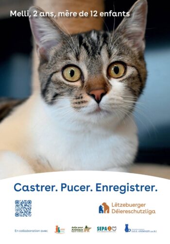 Lëtzebuerger Déiereschutzliga: Campagne "Castrer. Pucer. Enregistrer"