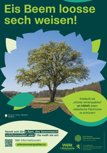 Campagne "Eis Beem loosse sech weisen!"