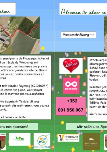 Ecole de Wincrange - Des fleurs à cueillir soi-même