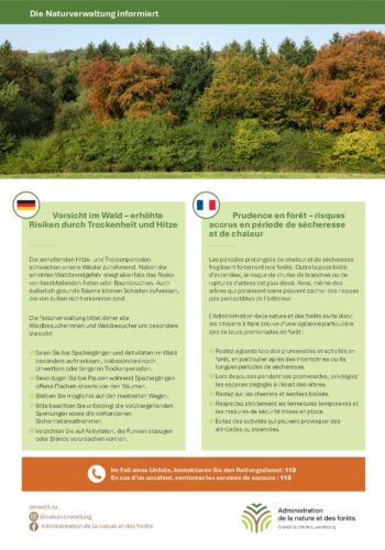 Prudence en forêt - Risques accrus en période de sécheresse et de chaleur