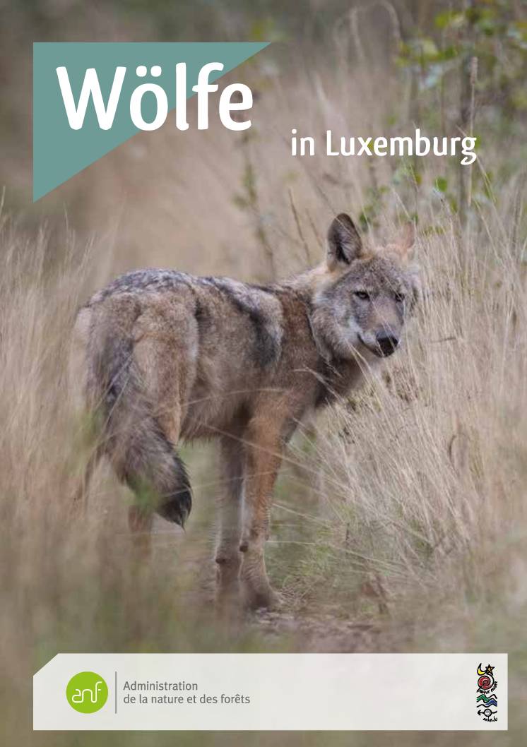 Wölfe in Luxemburg
