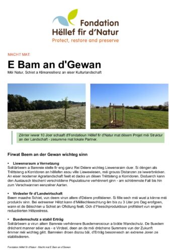 Fondation Hëllef fir d'Natur: Macht mat - E Bam an d'Gewan