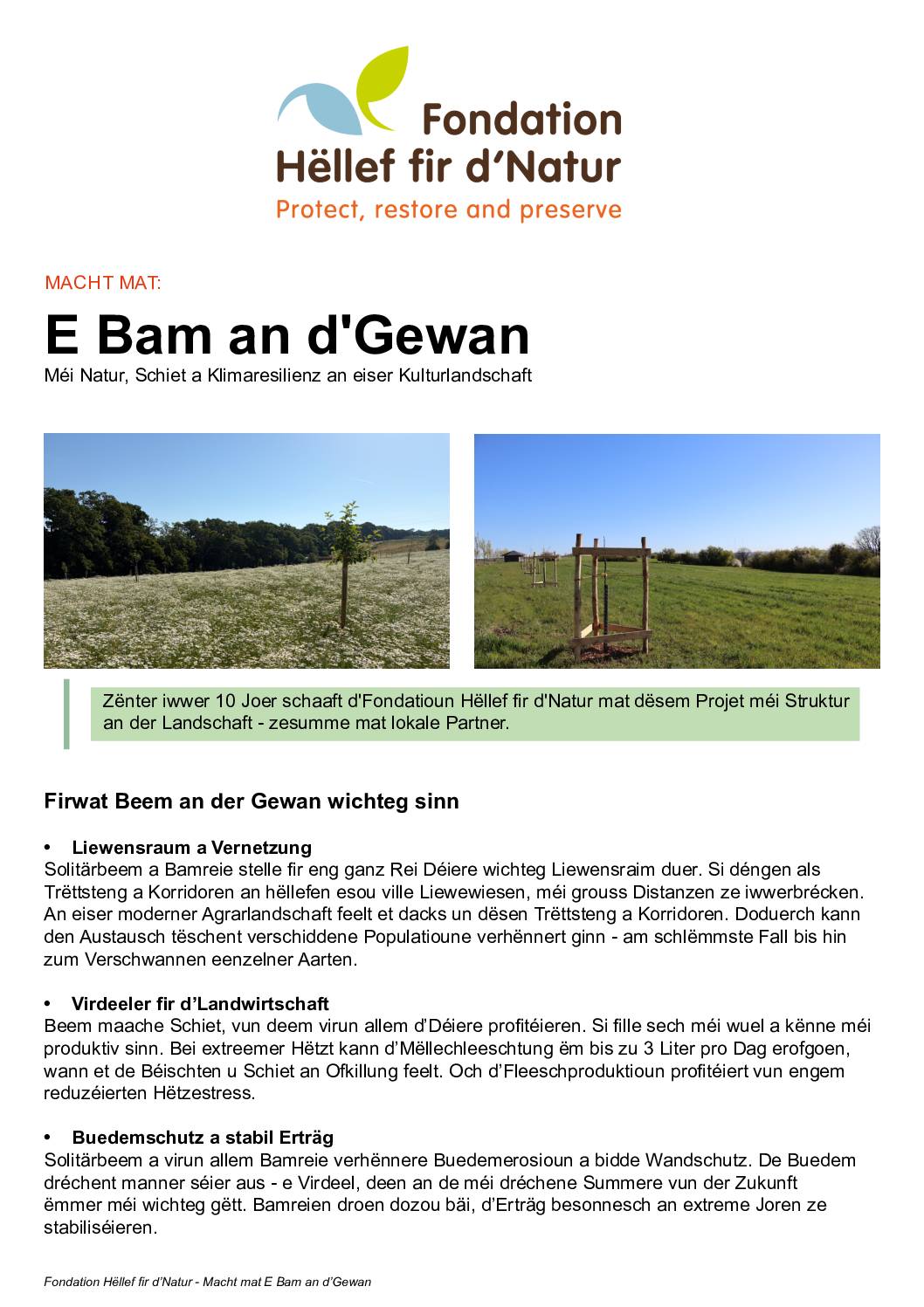 Fondation Hëllef fir d&rsquo;Natur: Macht mat – E Bam an d&rsquo;Gewan