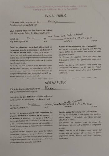 Chasse en battue lots 39 et 40 - 18 octobre, 11 et 28 novembre 2026