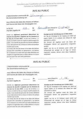 Chasse en battue lot 58 - 03 novembre 2026