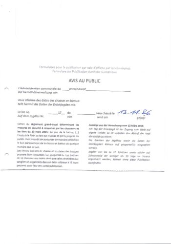Chasse en battue lot 17 - 13 novembre 2026