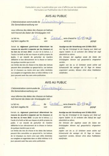 Chasse en battue lot 26 - 06 & 22 novembre 2026