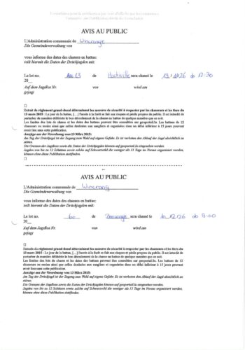 Chasse en battue lot 13 - 19 novembre 2026 & lot 60 - 10 décembre 2026