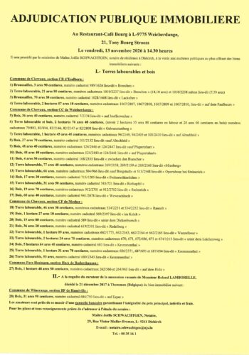 Adjudication publique immobilière