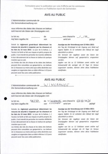 Chasse en battue lots 46 et 47 - 02 décembre 2026