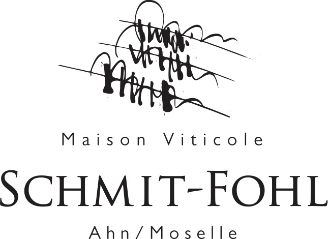 logo_SF_CS5[1]